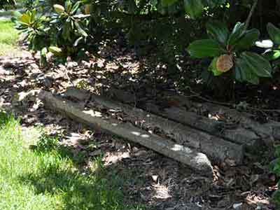 Mary Plantation Columns